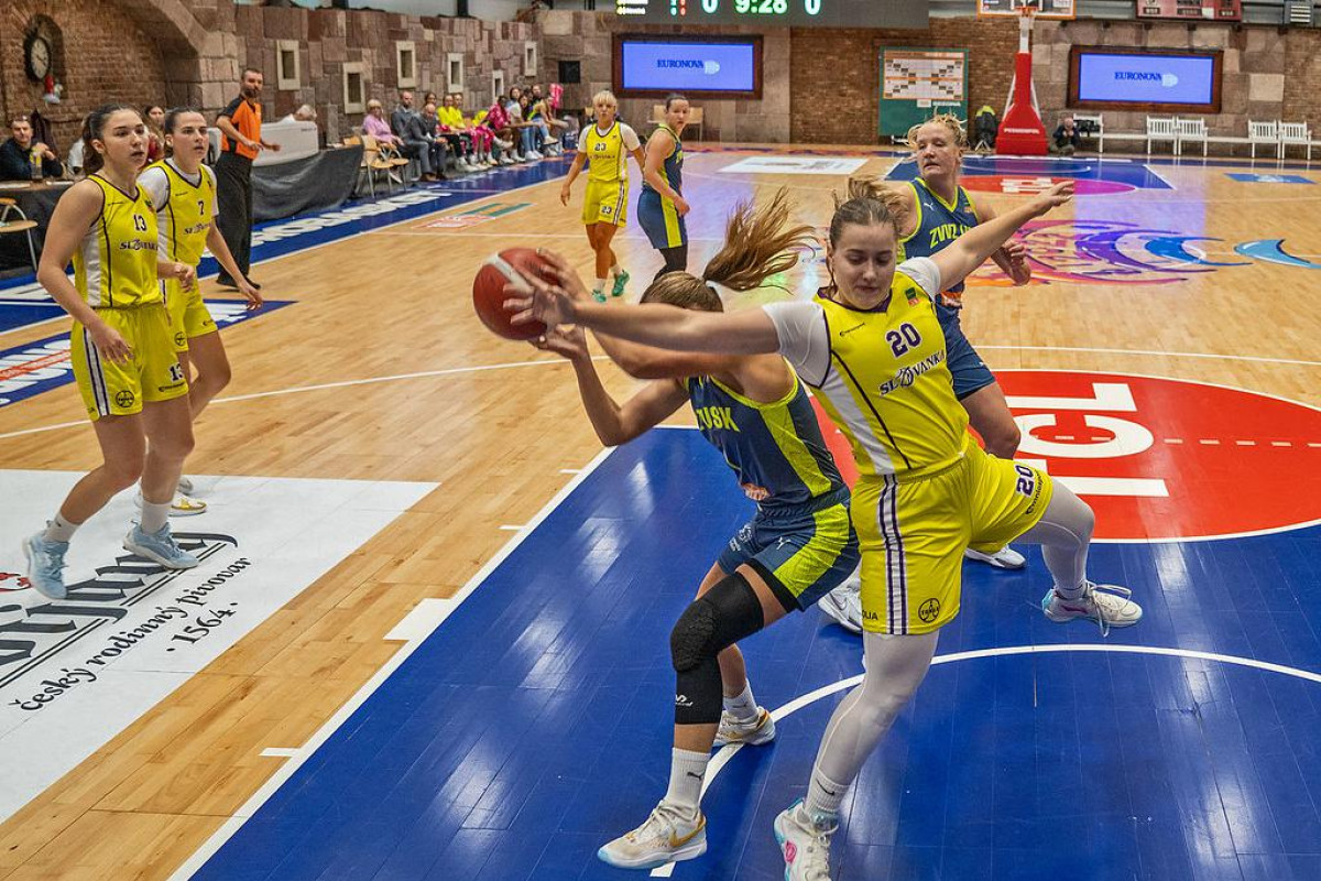 Kam 12.října 2024 za sportem? Hurá na fotbal, lední hokej, dostihy, házenou, basketbal, volejbal