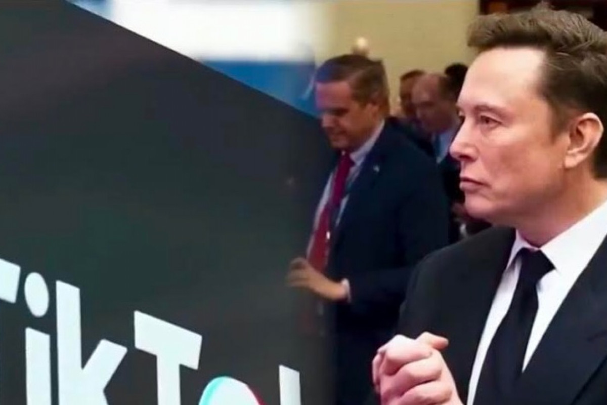 Elon Musk a TikTok? Spojení, které může otřást digitálním světem