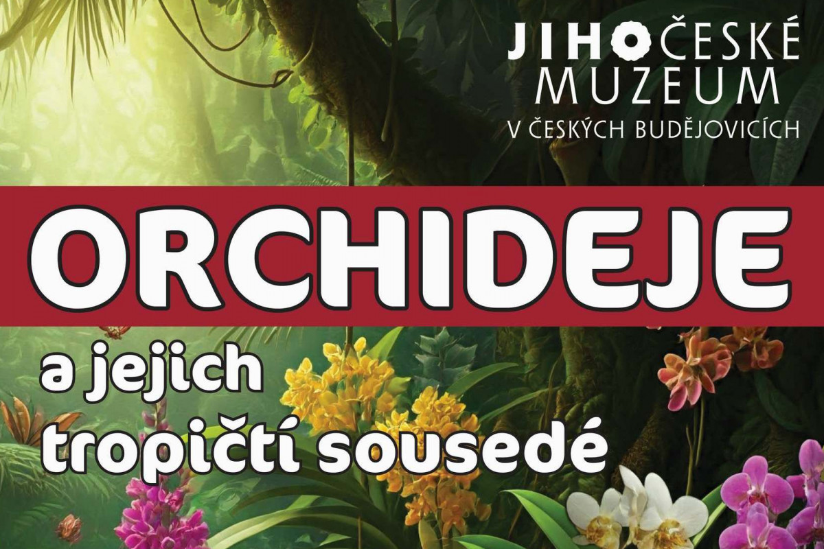 Jihočeské muzeum: Orchideje a jejich tropičtí sousedé