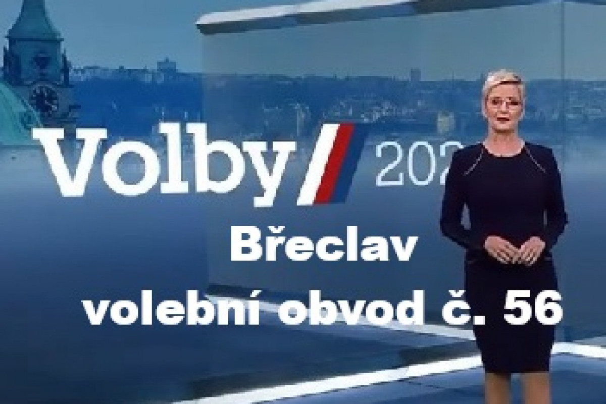 Senátní volby 2024: Břeclav - od politiků až po vinaře