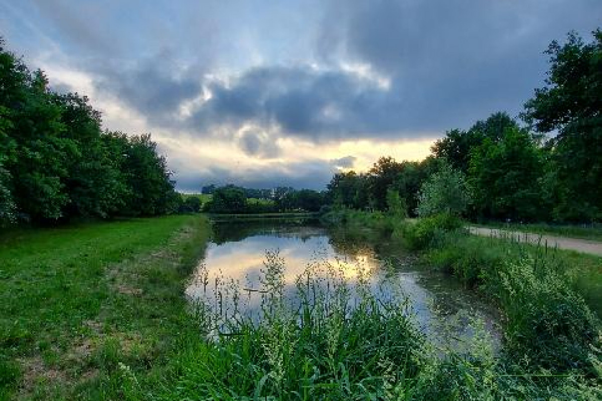 V Hradecké lokalitě Kluky vzniknou tůně, broukoviště i plazník