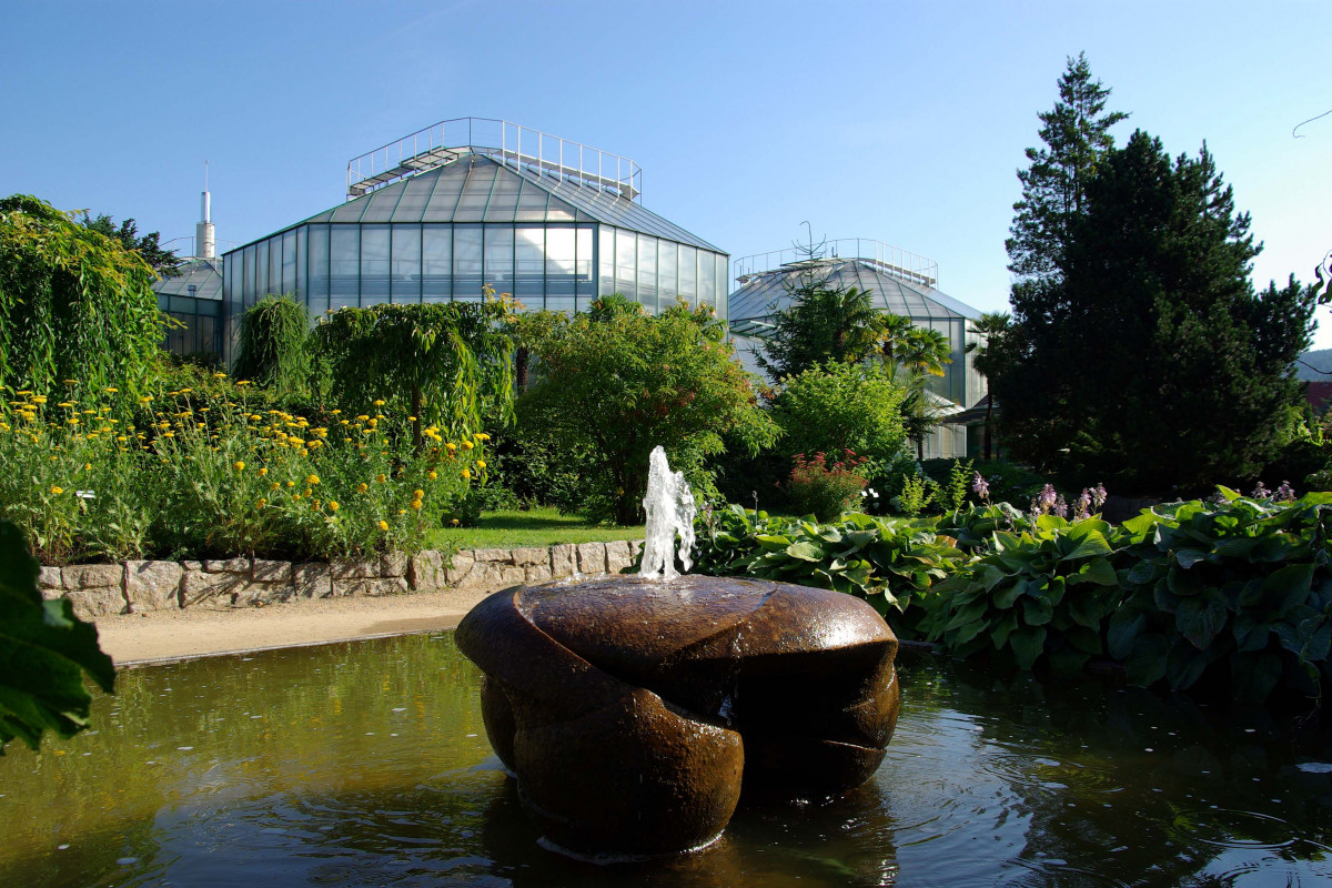 Rekordy: Oblastní galerie, Botanická zahrada a Severočeské muzeum